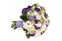 ����� ������� �������