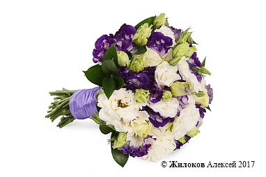 ����� ������� �������