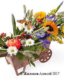 ����� ���� �������