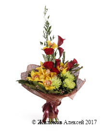 ����� ��������� ������