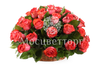 ����� 35 ��� ������ � �������