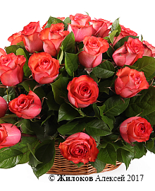 ����� 35 ��� ������ � �������