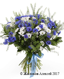 ����� ������ �����