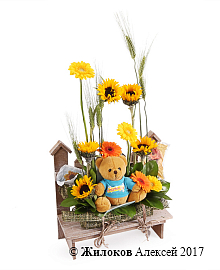 ���������� ������ ������� ����