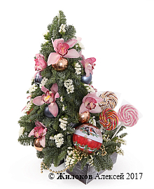 ���������� ����������� � ������ � �����