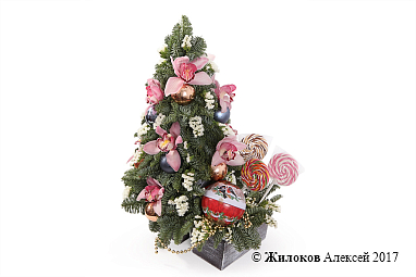 ���������� ����������� � ������ � �����